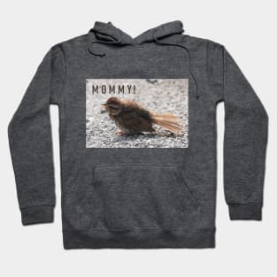 A Baby Song Sparrow Hoodie